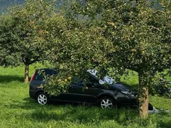 Grau Gebraucht 2008 Fiat Ulysse Van / Kleinbus | 2.500 €