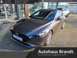 Braun Gebraucht 2020 Mazda 3 Selection Limousine | 17.990 € (Guter Preis)