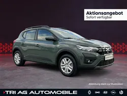 Othercolor Gebraucht 2022 Dacia Sandero Expression Kleinwagen | 18.580 € (Fairer Preis)