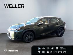 Gruen Neu 2025 Lexus UX 300h SUV | 42.590 € (Etwas zu teuer)