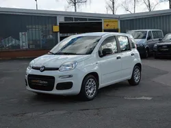 Weiß Gebraucht 2020 Fiat Panda Urban Kleinwagen | 9.800 € (Fairer Preis)