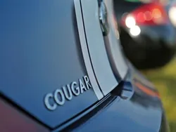 Blau Gebraucht 1999 Ford Cougar Coupé | 13.500 €