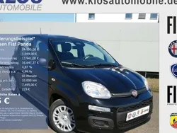 Schwarz Neu 2025 Fiat Panda Kleinwagen | 14.990 €