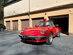 Rot Gebraucht 1987 Alfa Romeo Spider Cabrio | 13.000 €