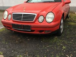 Rot Gebraucht 1998 Mercedes CLK230 Avantgarde Cabrio | 3.900 € (Fairer Preis)