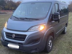 Grau Gebraucht 2017 Fiat Ducato S Van | 12.900 € (Superpreis)