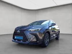 Grau Neu 2025 Lexus NX450h+ E-FOUR Executive Line SUV | 56.890 €