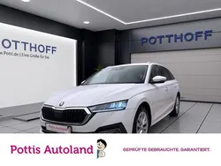 Weiss Gebraucht 2023 Skoda Octavia Style Kombi | 24.997 € (Guter Preis)