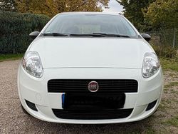 Weiß Gebraucht 2012 Fiat Punto Kleinwagen | 4.399 € (Fairer Preis)