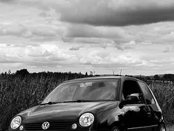 Schwarz Gebraucht 2003 VW Lupo Kleinwagen | 1.450 € (Fairer Preis)
