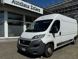 Weiß Gebraucht 2017 Fiat Ducato Van | 8.999 € (Fairer Preis)