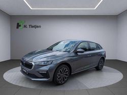 Grau Neu 2025 Skoda Scala Kleinwagen | 31.490 €