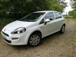 Weiß Gebraucht 2017 Fiat Punto Lounge Kleinwagen | 6.350 € (Fairer Preis)