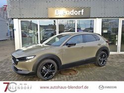 Neu 2025 Mazda CX-30 Nagisa SUV | 30.990 €