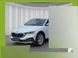 Moonweiss metallic Gebraucht 2021 Skoda Octavia Scout 4x4 Kombi | 27.390 € (Fairer Preis)