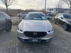 Neu 2025 Mazda CX-30 Homura-Line SUV | 29.990 €