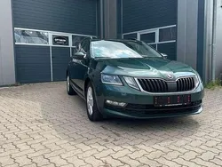 Grün Gebraucht 2019 Skoda Octavia Kombi | 9.990 € (Superpreis)