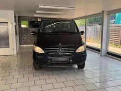 Mercedes Viano