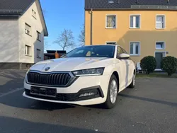 Weiß Gebraucht 2020 Skoda Octavia Ambition Kombi | 17.100 € (Guter Preis)