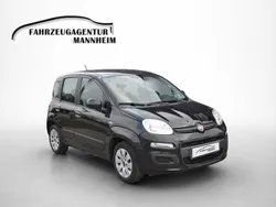 Schwarz Gebraucht 2013 Fiat Panda Kleinwagen | 3.999 € (Superpreis)