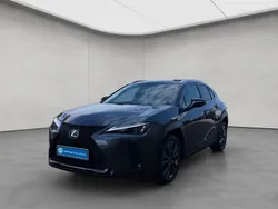 Grau Neu 2025 Lexus UX 300h Sport Design Packet SUV | 36.880 € (Fairer Preis)