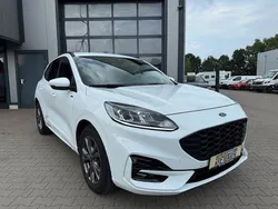Schwarz Gebraucht 2024 Ford Kuga ST-Line SUV | 24.790 € (Superpreis)