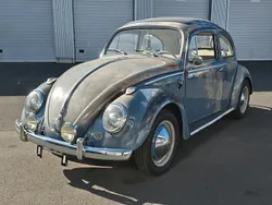 VW Käfer