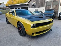 Gold rush Gebraucht 2021 Dodge Challenger Coupé | 75.000 € (Superpreis)