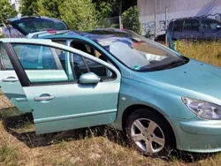 Grün Gebraucht 2004 Peugeot 307 Premium Kombi | 4.950 €