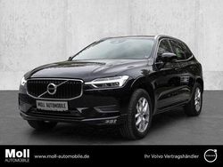 Gebraucht 2020 Volvo XC60 Momentum SUV | 29.980 € (Superpreis)