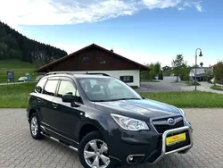 Grau Gebraucht 2015 Subaru Forester Active SUV | 18.990 € (Teuer)