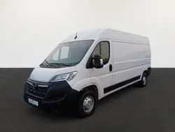 Cassablanca weiss Gebraucht 2025 Opel Movano Edition Van | 24.773 €