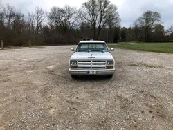 Weiß Gebraucht 1988 Dodge Ram Abholung | 12.900 €