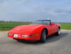 Rot Gebraucht 1991 Chevrolet Corvette C4 Cabrio | 21.200 €
