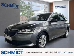 Grau Gebraucht 2022 Skoda Fabia Ambition Kombi | 14.890 € (Guter Preis)
