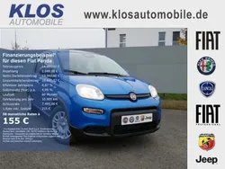 Blau Gebraucht 2024 Fiat Panda Kleinwagen | 13.990 € (Fairer Preis)