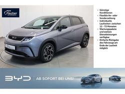 Time grey Gebraucht 2025 BYD Dolphin Design Kleinwagen | 27.980 € (Guter Preis)