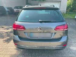 Grau Gebraucht 2020 VW Golf VII IQ Drive Kombi | 12.000 € (Guter Preis)