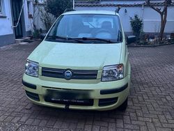 Grün Gebraucht 2005 Fiat Panda Kleinwagen | 1.500 € (Fairer Preis)