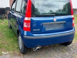 Blau Gebraucht 2009 Fiat Panda Kleinwagen | 3.300 € (Etwas zu teuer)