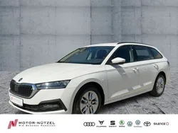Candyweiss Gebraucht 2021 Skoda Octavia Ambition Kombi | 18.930 € (Fairer Preis)