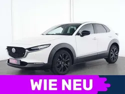 Weiß Gebraucht 2022 Mazda CX-30 Homura-Line SUV | 22.459 € (Guter Preis)