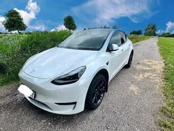 Weiß Gebraucht 2025 Tesla Model Y Long Range SUV | 45.700 € (Teuer)