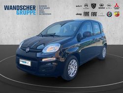 Schwarz Neu 2025 Fiat Panda Limousine | 14.290 € (Fairer Preis)