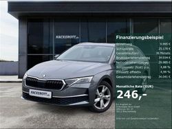 Grau Gebraucht 2024 Skoda Octavia Selection Kombi | 36.980 € (Etwas zu teuer)
