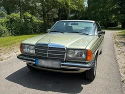 Grün Gebraucht 1981 Mercedes 230 Coupé | 21.000 €