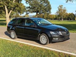 Schwarz Gebraucht 2017 Skoda Octavia Kombi | 13.500 € (Fairer Preis)