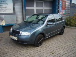 Grau Gebraucht 2004 Skoda Fabia Limousine | 3.999 €