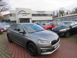 Grau Neu 2024 Skoda Kamiq Style SUV | 28.877 € (Etwas zu teuer)