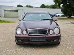 Gebraucht 2001 Mercedes CLK200 Coupé | 800 € (Superpreis)